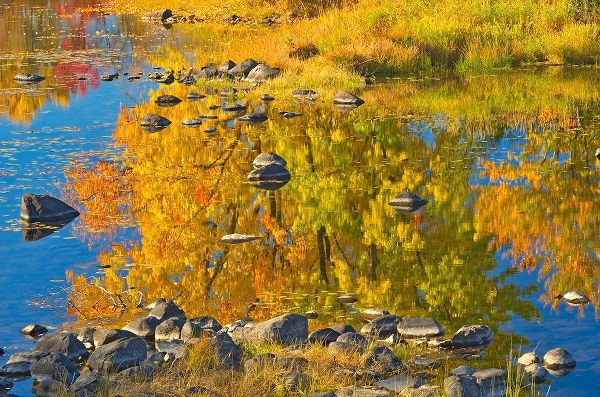 Canada-Ontario-Whitefish Autumn colors reflect in Vermilion River